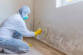 Why You Should Choose Our Mold Remediation Services in Pinehurst, ID